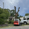 Kari's Tree Service gallery