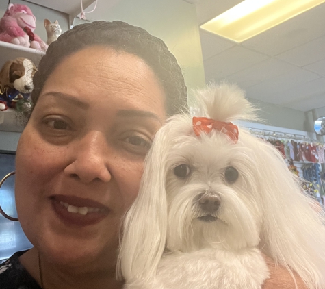 Royal Paws Pet Spa - Plantation, FL