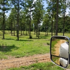 Brelands Land Clearing & Forestry Mulching