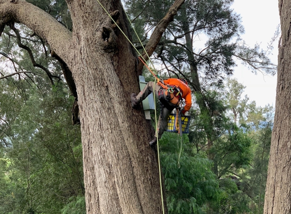 Dynamic Tree Works