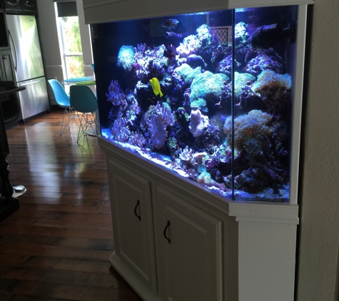 My Aquarium Guy, LLC - Allen, TX