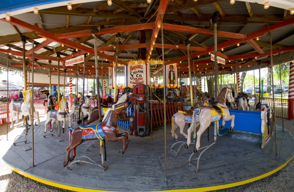 Carousel Gallery #71