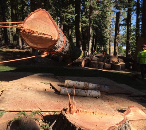 A & E Arborists Tree Care - Yuba City, CA