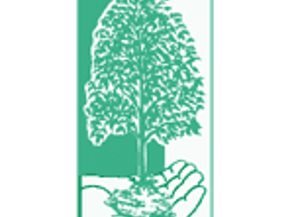 A & A Arbor Tree Service Pty Ltd - Thornleigh, NSW