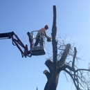 Bundy Logging and Tree Service - Logging Companies