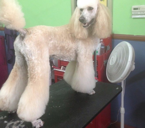 Animal House Dog Grooming by Colt - Bakersfield, CA