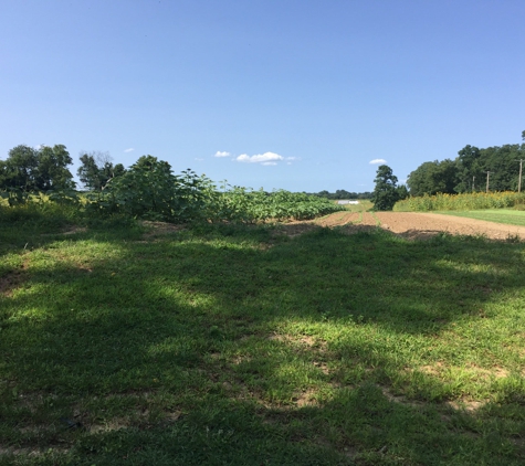 Young's Farm-the Annex - Glen Head, NY