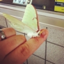 Photo #11