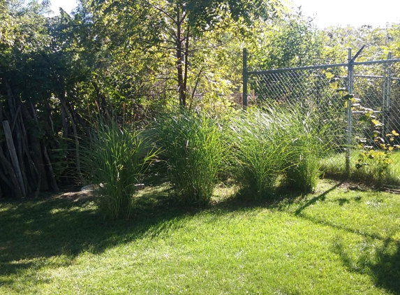 Carters Complete Lawncare Services - Flint, MI