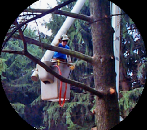 Apple Tree Service Inc. - Glenside, PA