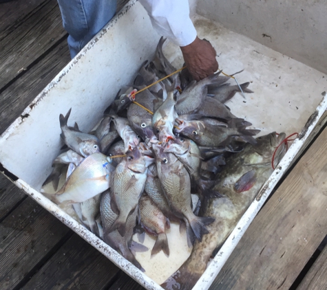 Dolphin Deep Sea Fishing - Tarpon Springs, FL. November 2016