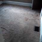 Steve's Floor Care & Services LLC