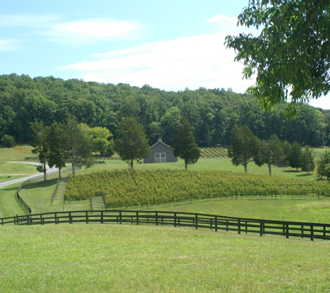 Five Oaks Vineyard - Barboursville, VA