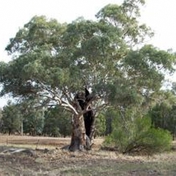 Gallery Image Number 3