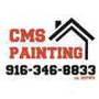 CMS Painting