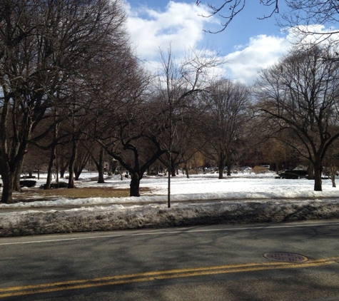 Dexter Park - Brookline, MA