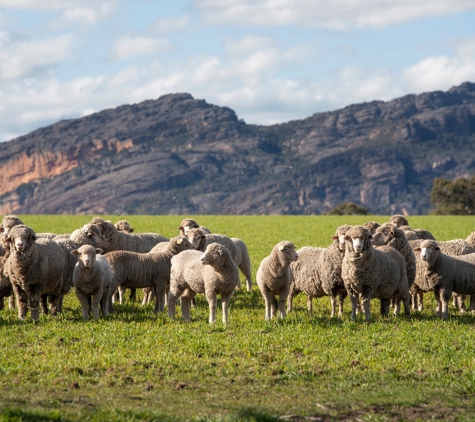 Wimmera CMA - Horsham, VIC