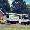 Tree Care gallery