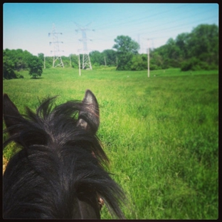 Children's Farm At The Center - Palos Park, IL