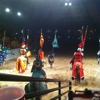 Medieval Times Dinner & Tournament gallery