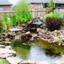 Aquatic Gardens Custom Services