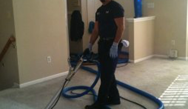 Deluxe Carpet Cleaning - Lothian, MD