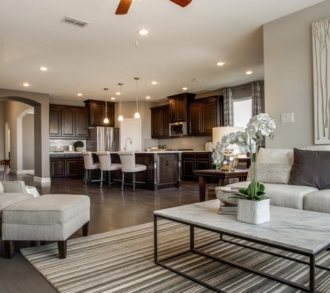 Perry Homes - Arcadia Ridge 45' - San Antonio, TX