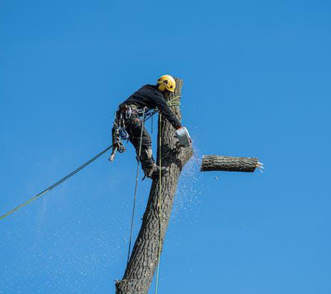 M & M Tree Service Inc - Pottstown, PA