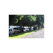 Gallery Image Number 5