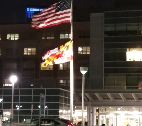 Holy Cross Hospital - Silver Spring, MD