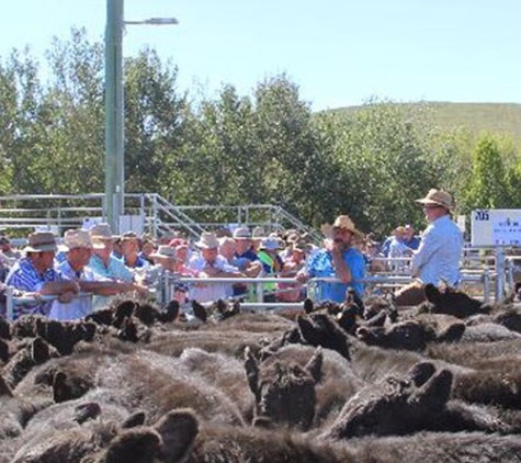 Monaro Livestock & Property Pty Ltd