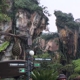 Disney's Animal Kingdom Theme Park