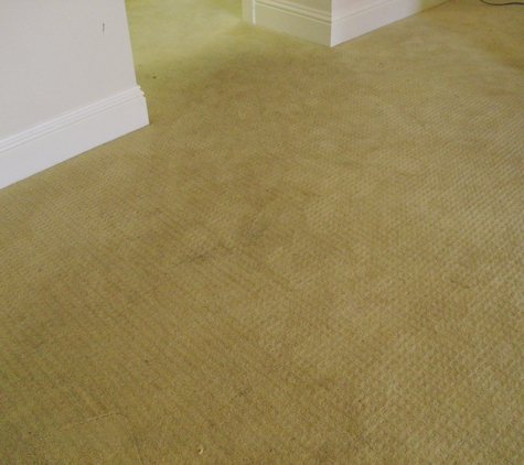 Dry Green Carpet Cleaners