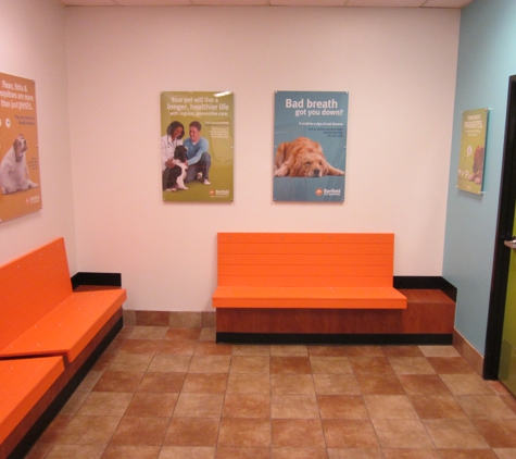 Banfield Pet Hospital - Bakersfield, CA