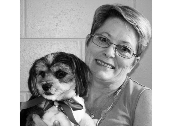 Ulverstone Veterinary Clinic - Ulverstone, TAS