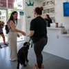 Pup Palace Salon gallery