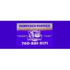 Pampered Puppies Pet Grooming gallery