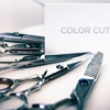 Colorcuts gallery