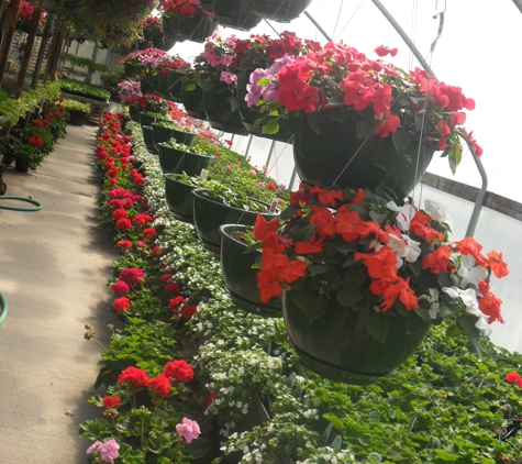 The Flower Shoppe & Greenhouse - Gillett, WI