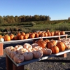 Hollabaugh Brothers Fruit Farm gallery