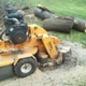 Hickory Creek Tree Service