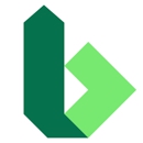 Bueno Analytics - Management Consultants