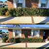Alamo LawnCare Services gallery