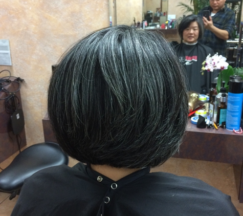Lance Hair Stylist - San Marino, CA. Hair feels healthy again!