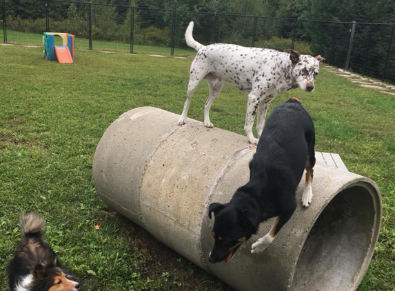 Camelot Kennels - Monson, MA