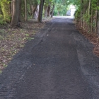Ronnie Owens Jr. Construction and Landscaping
