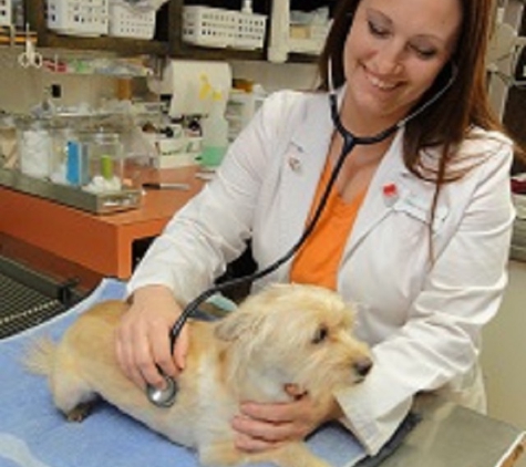 Midtown Animal Hospital - Lawton, OK