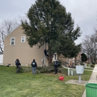 Big Timber Tree Service LLC