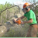 Oxford Tree Service - Tree Service