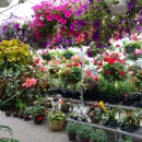 Mayflower Greenhouse - Greenhouses